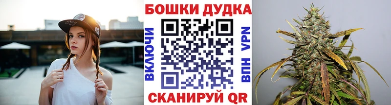 Где купить наркоту Бодайбо Псилоцибиновые грибы  Alpha-PVP  АМФ 