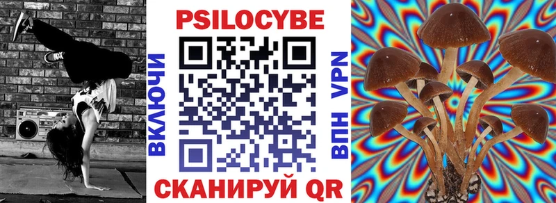 Галлюциногенные грибы Psilocybe  как найти закладки  Бодайбо 