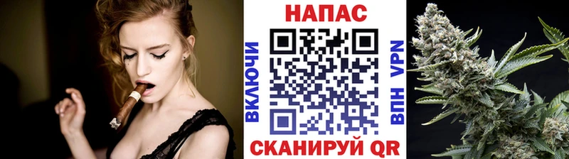 цена наркотик  hydra зеркало  Бошки Шишки семена  Бодайбо 
